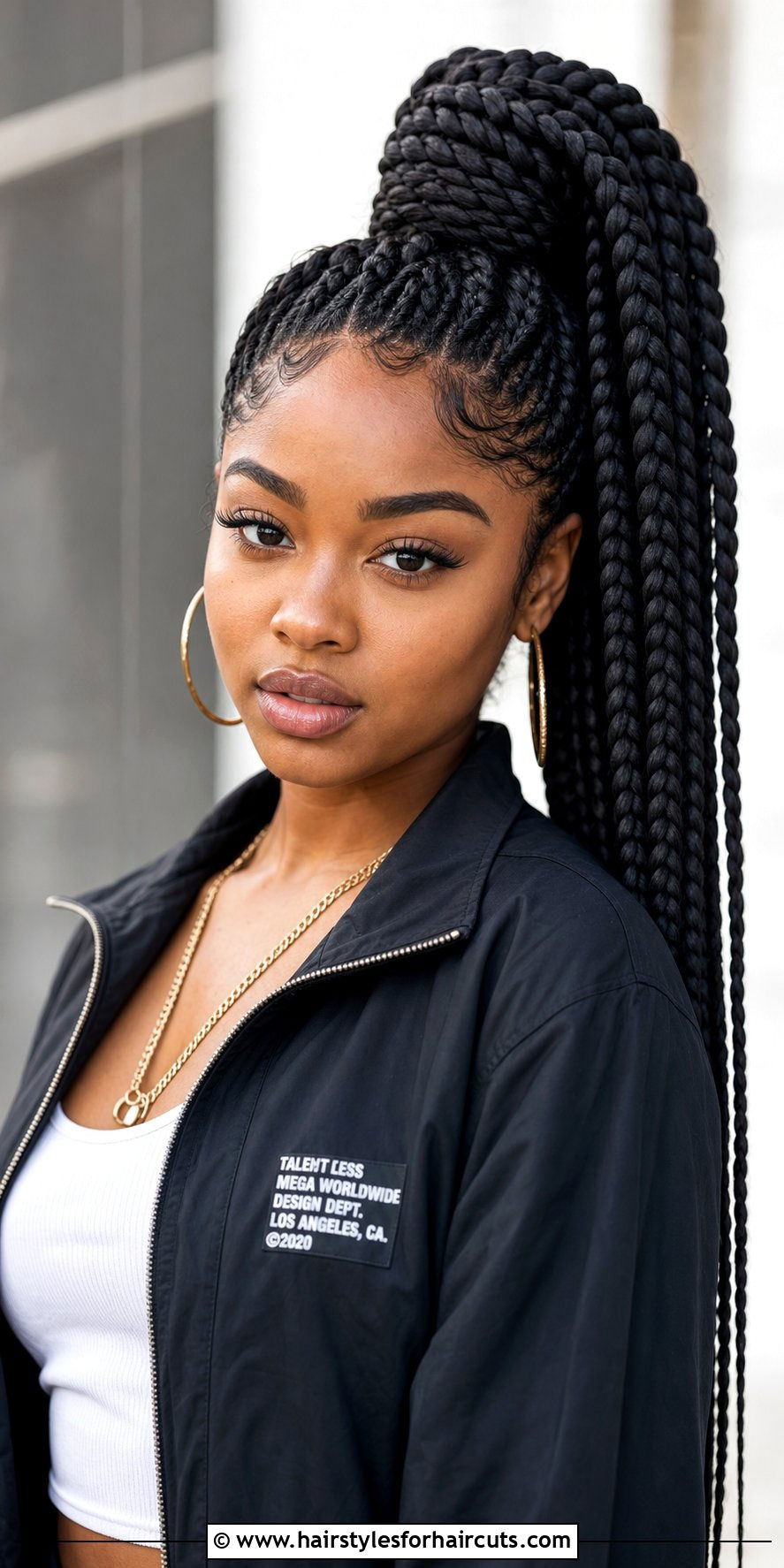 Jumbo Braid Ponytail - 25 cute braid ponytail hairstyles for black hair - 25 cute braid ponytail hairstyles for black hair