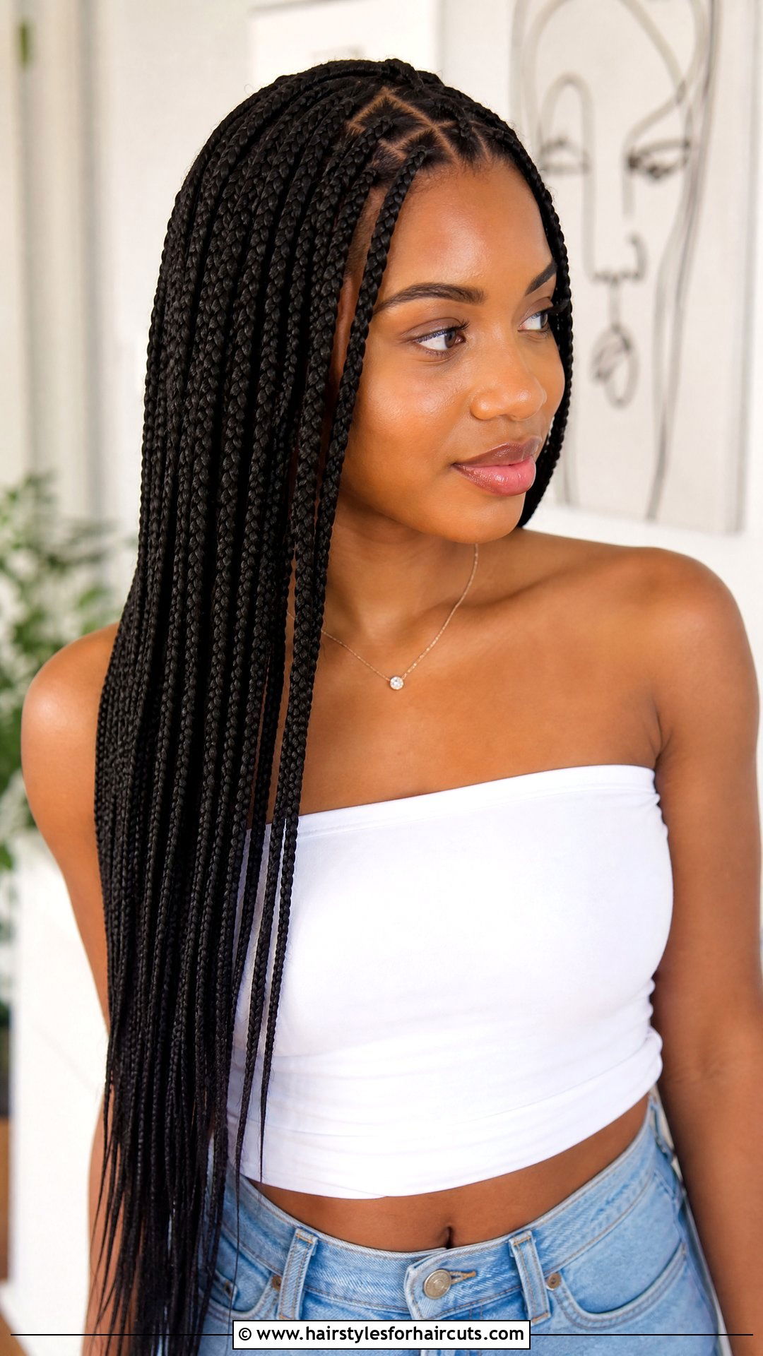 Knotless Box Braids - 25 black people hairstyles braids - 25 black people hairstyles braids