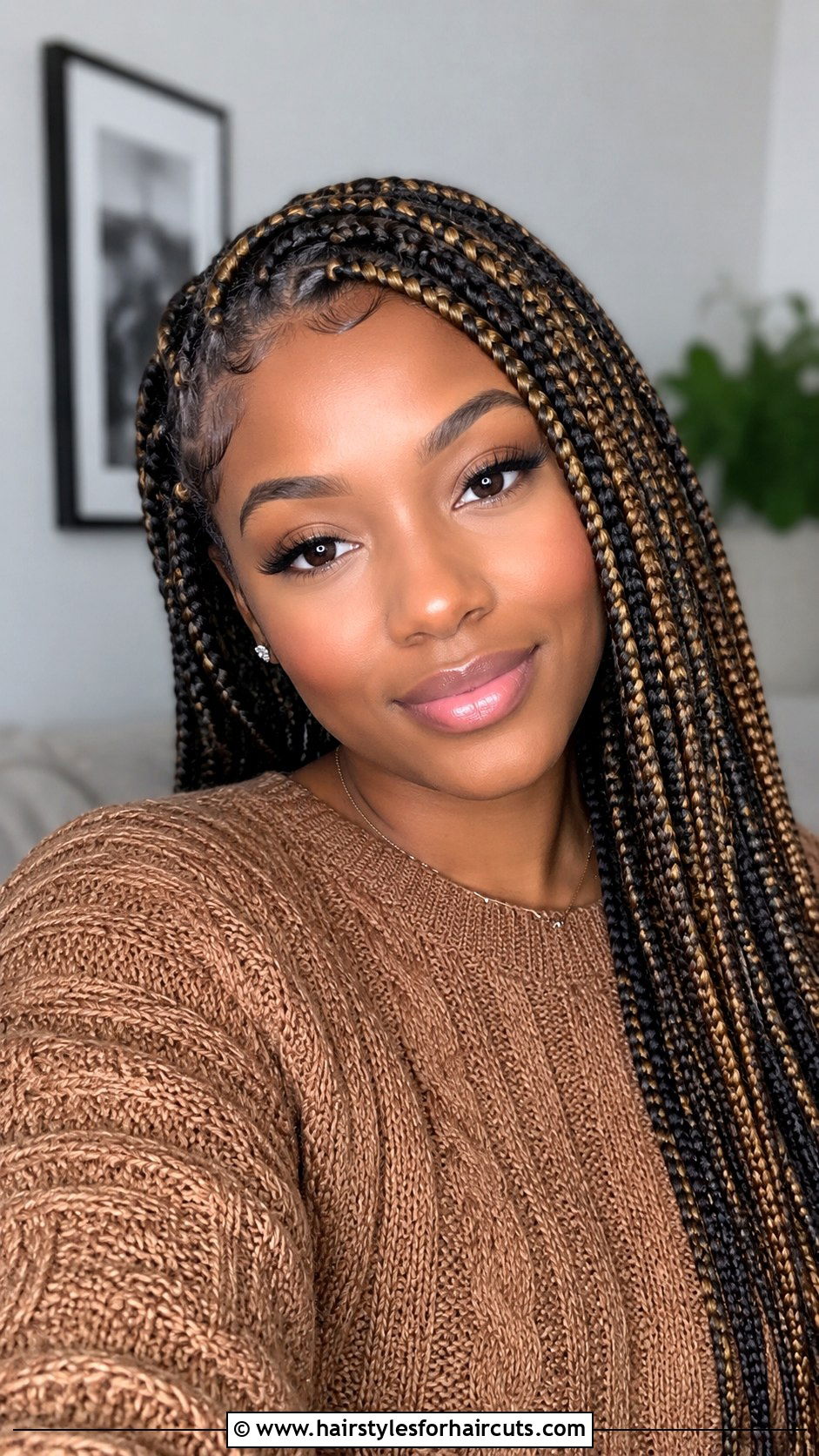 Knotless Braids With Color - 25 knotless hairstyles - 25 knotless hairstyles