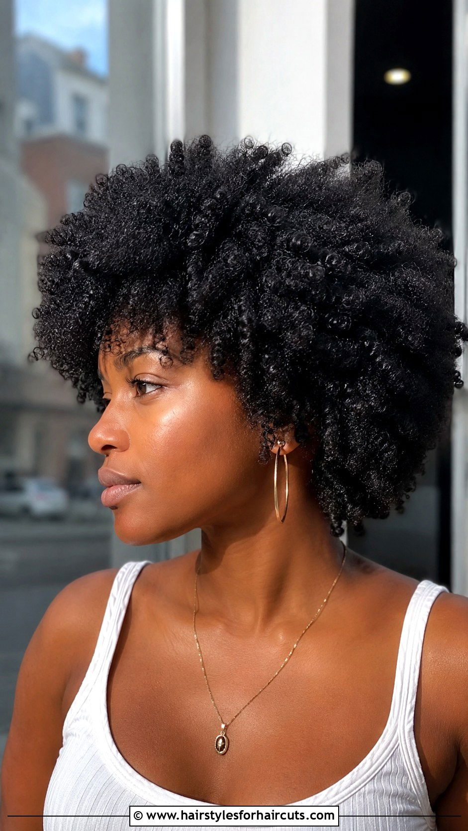 Layered Afro Haircut - 25 haircuts for black women with natural hair - 25 haircuts for black women with natural hair