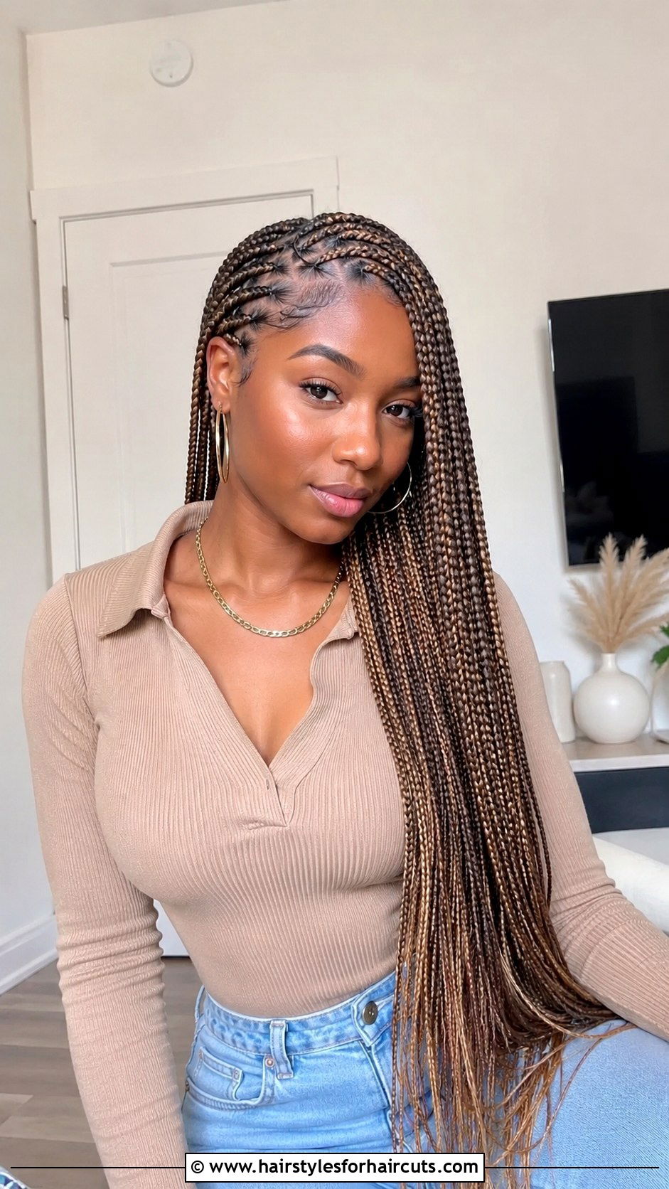 Lemonade Braids - 25 african hairstyles - 25 african hairstyles