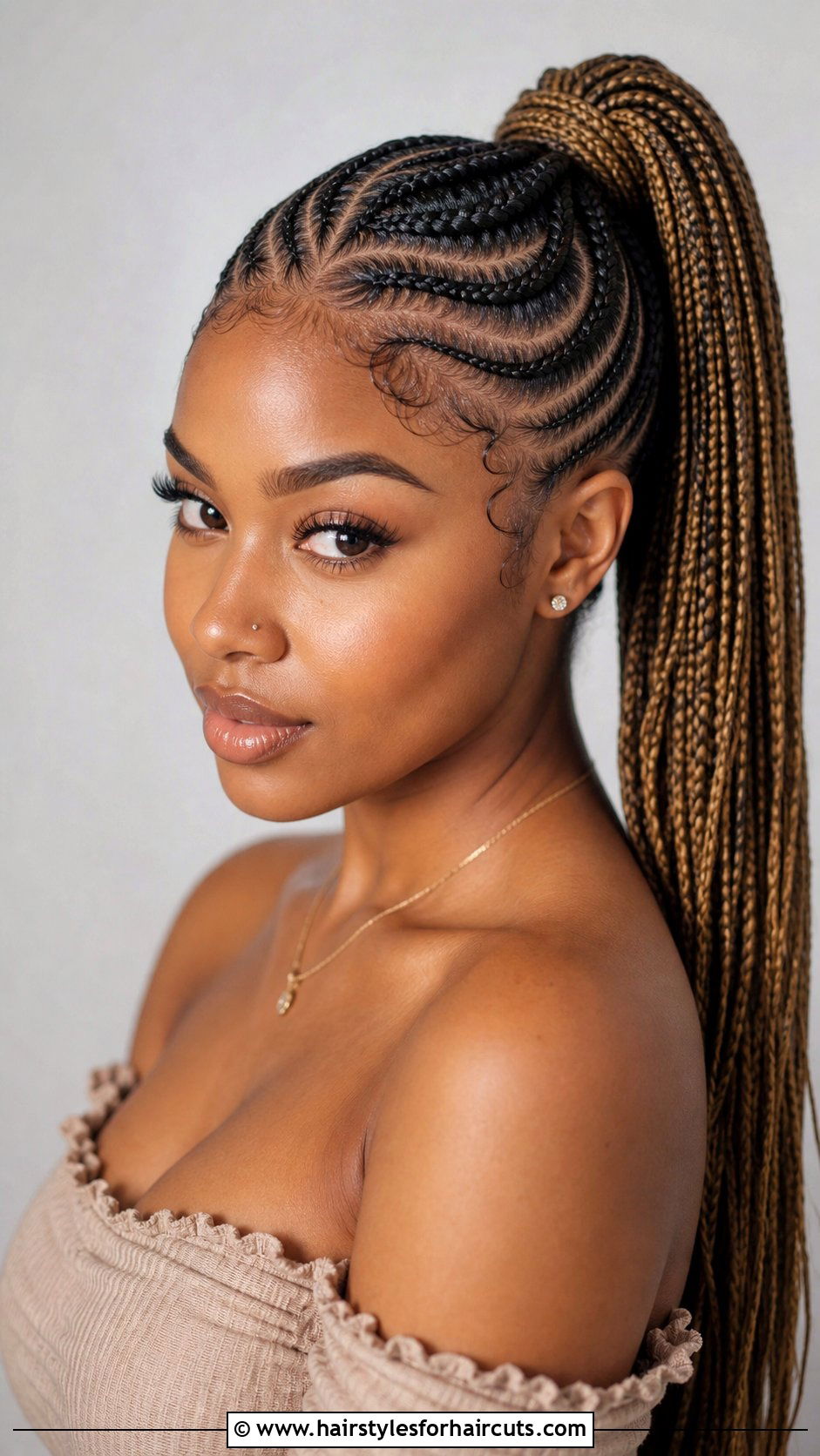 Lemonade Braids Ponytail - 25 ponytail hairstyles with braiding hair - 25 ponytail hairstyles with braiding hair