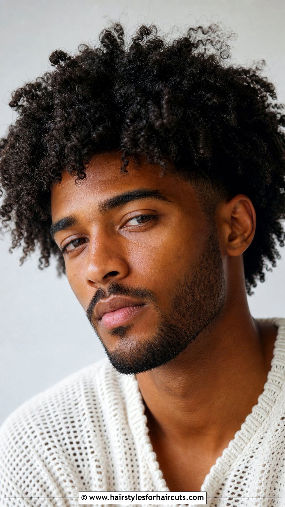 Long Afro Taper Fade - 25 haircuts curly hair blowout afro taper fade - 25 haircuts curly hair blowout afro taper fade