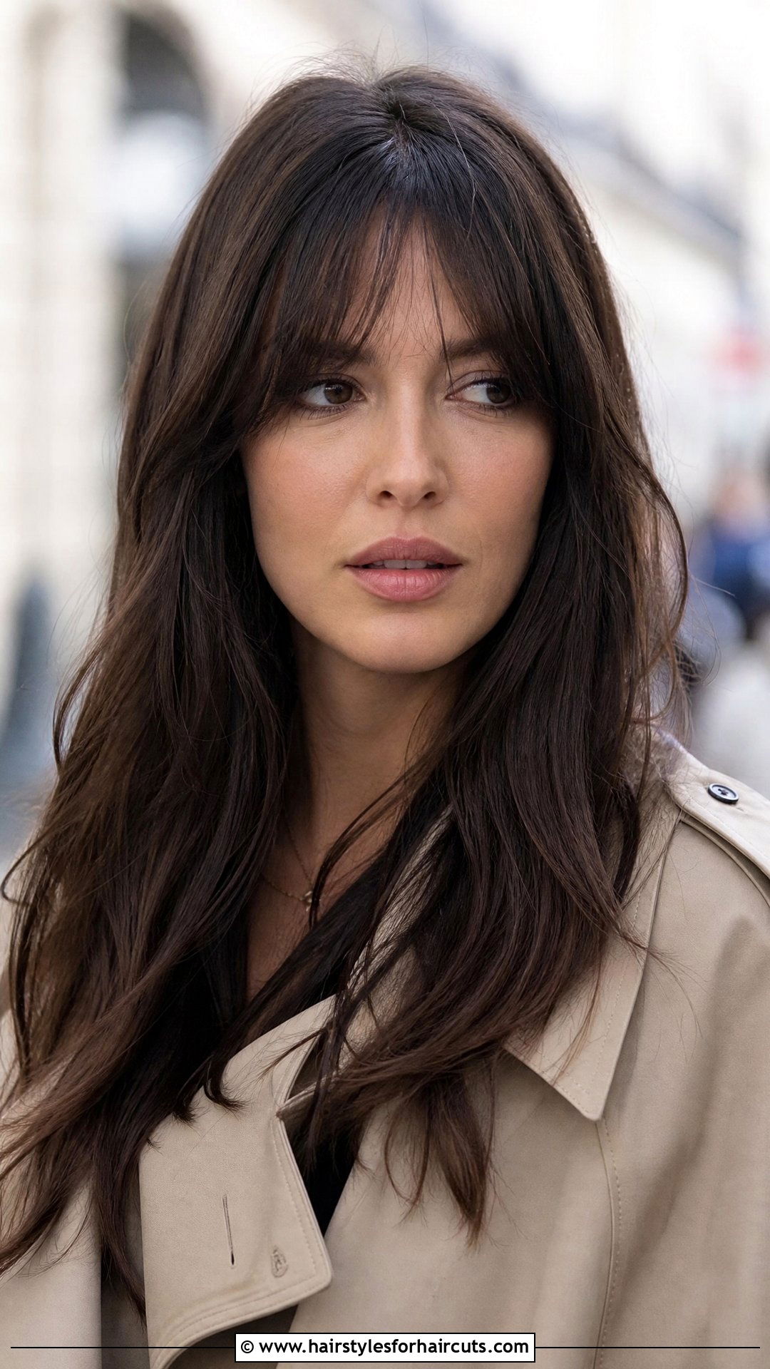 Long Brunette Hair With Birkin Fringe - 25 fringe haircuts - 25 fringe haircuts