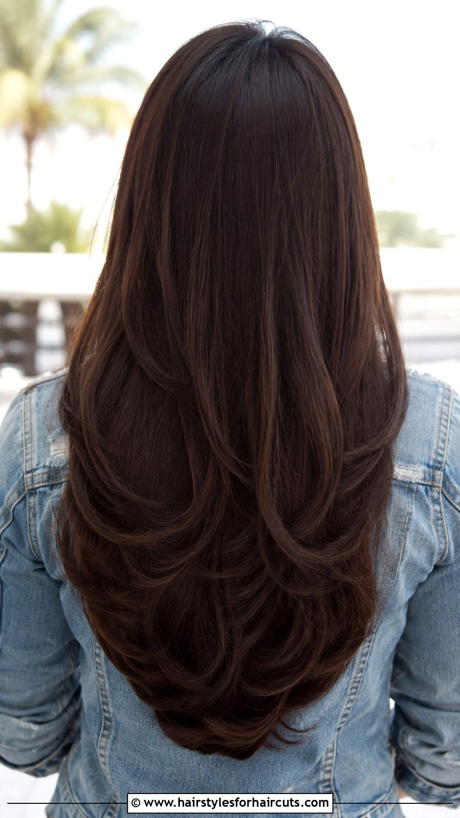 Long Layered Haircut - 25 haircuts long hair - 25 haircuts long hair