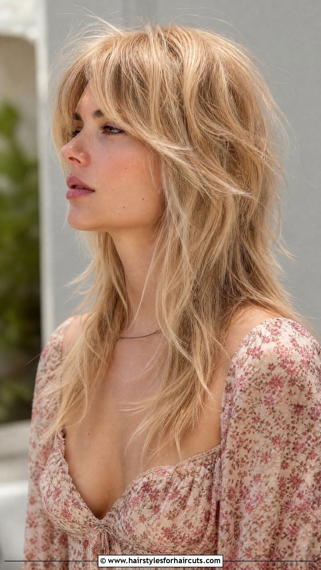 Long Wolf Haircut Thin Hair - 25 wolf haircuts thin hair - 25 wolf haircuts thin hair