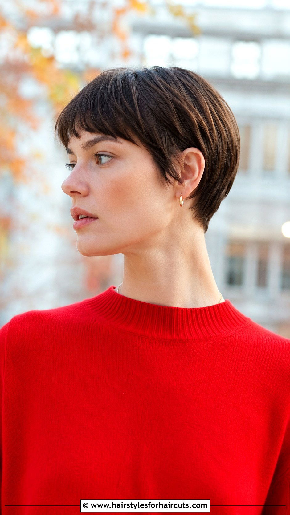 Micro Bob Haircut - 25 haircuts bobs - 25 haircuts bobs