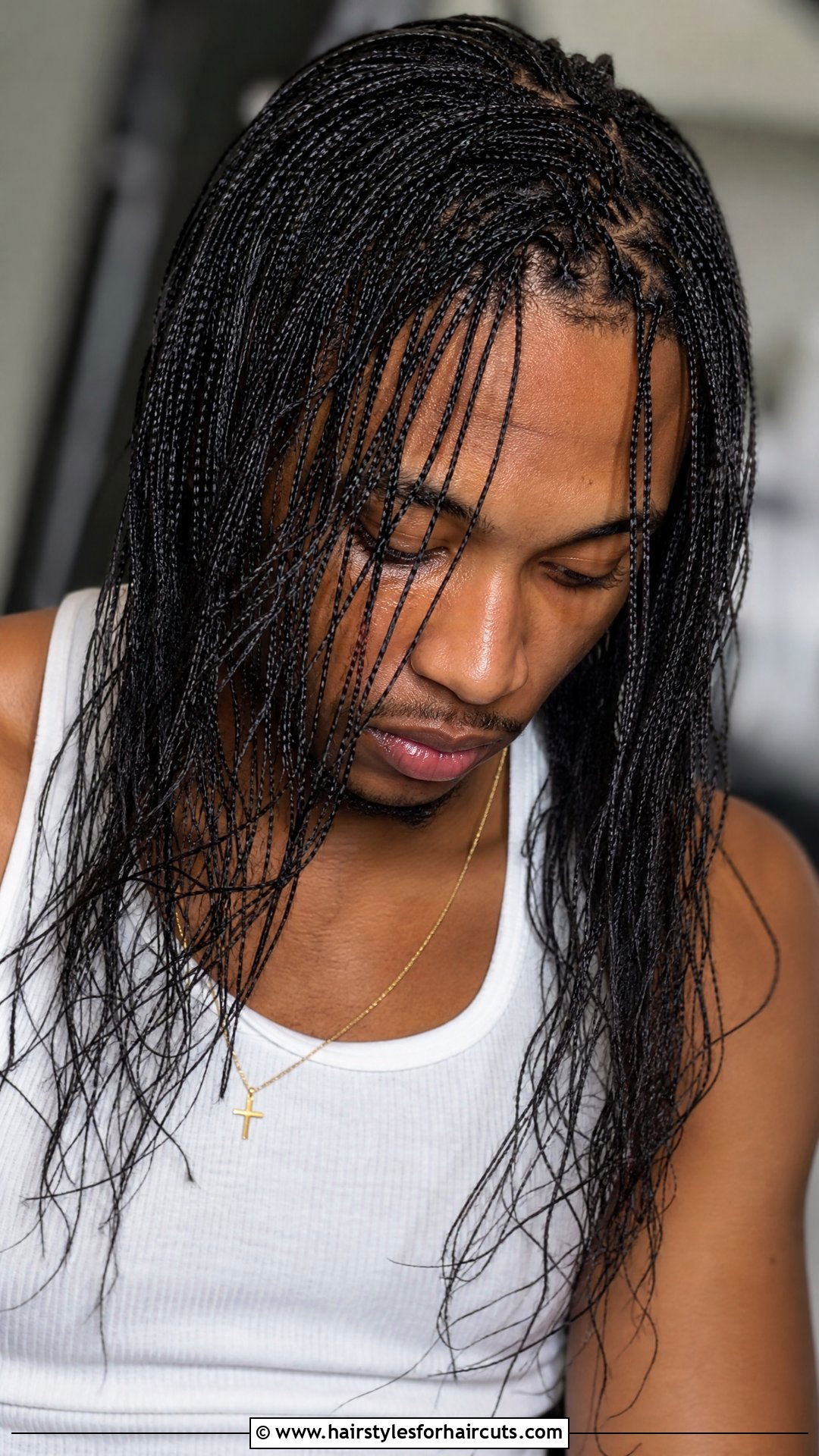 Micro Braid Rapper Hairstyle - 25 rapper hairstyles - 25 rapper hairstyles