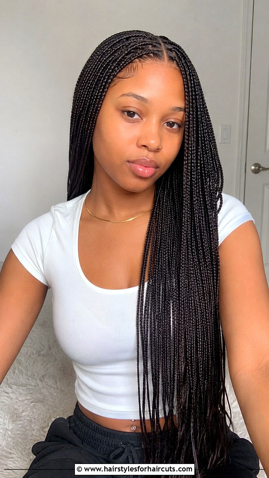 Micro Braids - 25 african hairstyles photos - 25 african hairstyles photos
