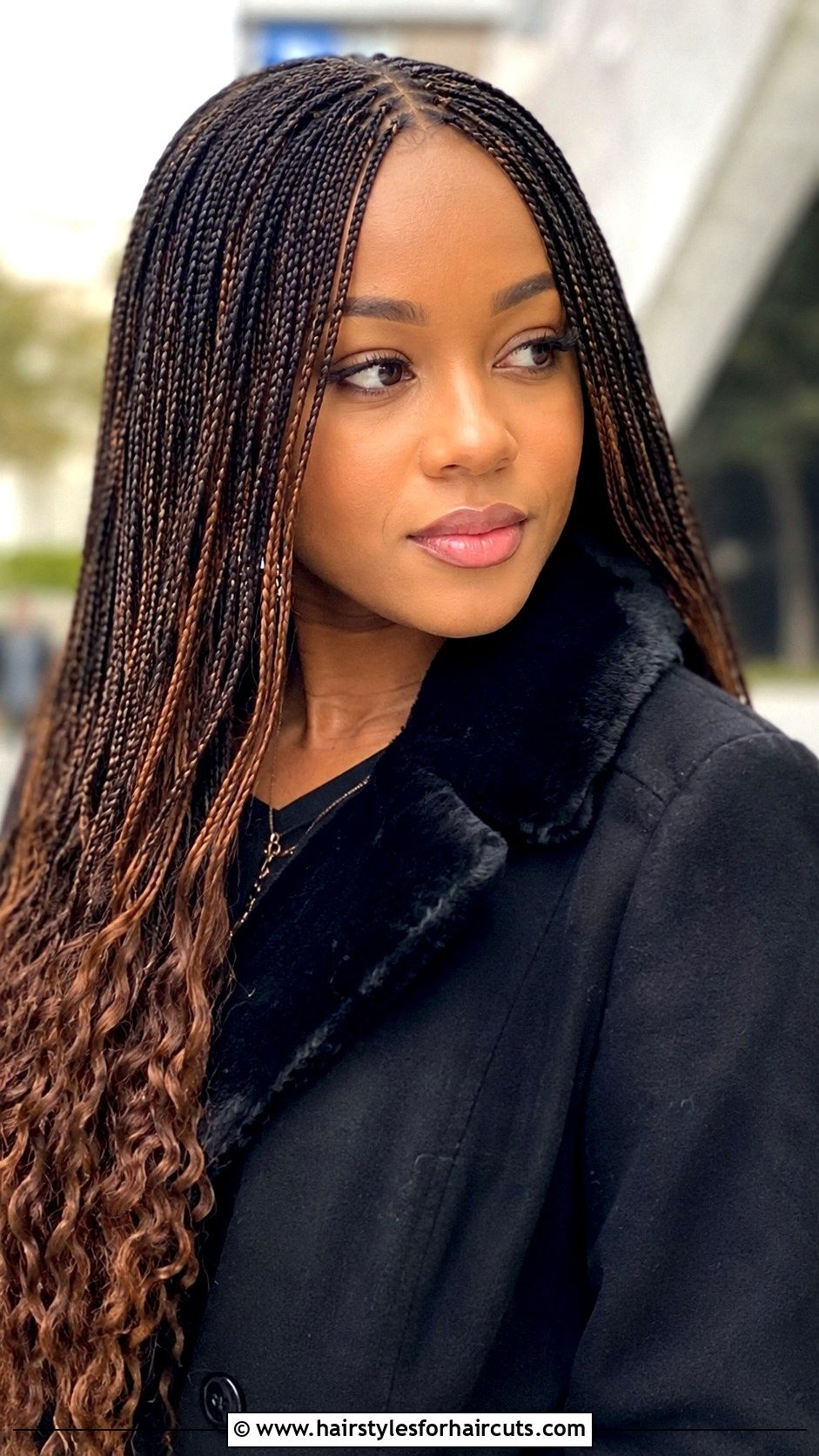 Micro Braids - 25 winter hairstyles for black hair - 25 winter hairstyles for black hair