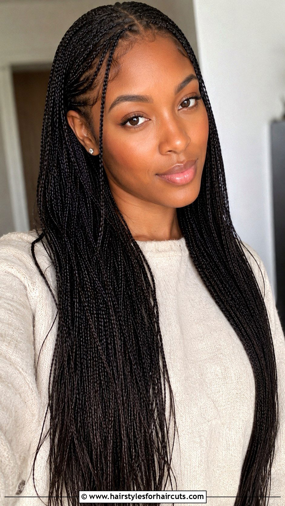 Micro Braids - 25 braided hairstyles for black hair - 25 braided hairstyles for black hair