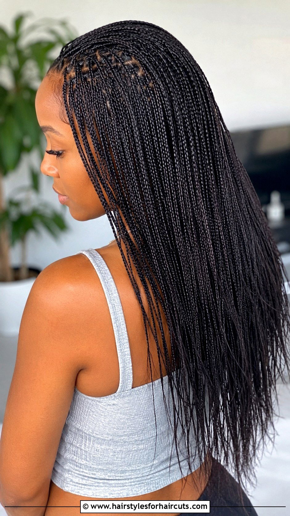 Micro Braids - 25 cruise hairstyles for black hair - 25 cruise hairstyles for black hair