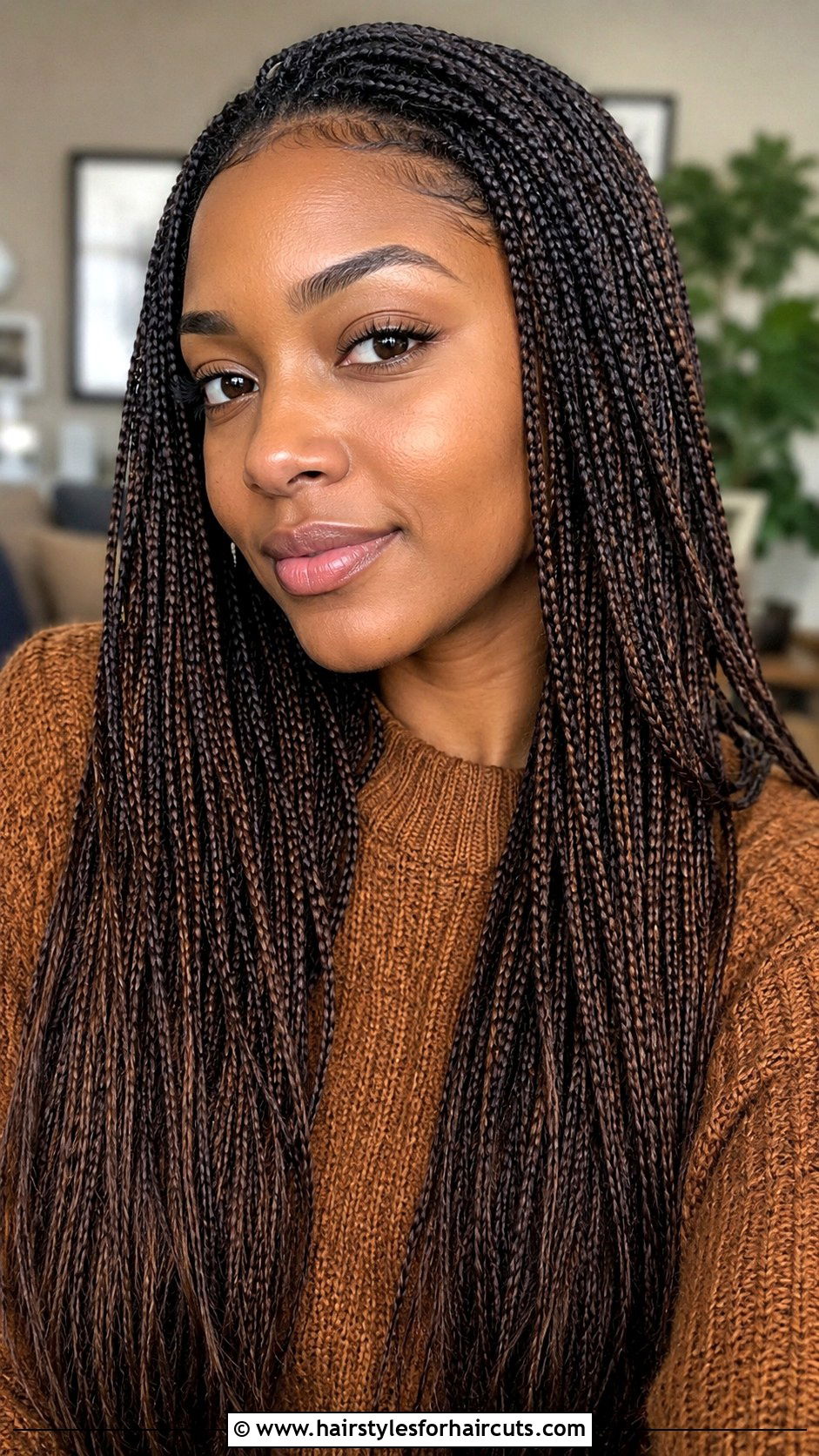 Micro Braids - 25 easy black hairstyles - 25 easy black hairstyles