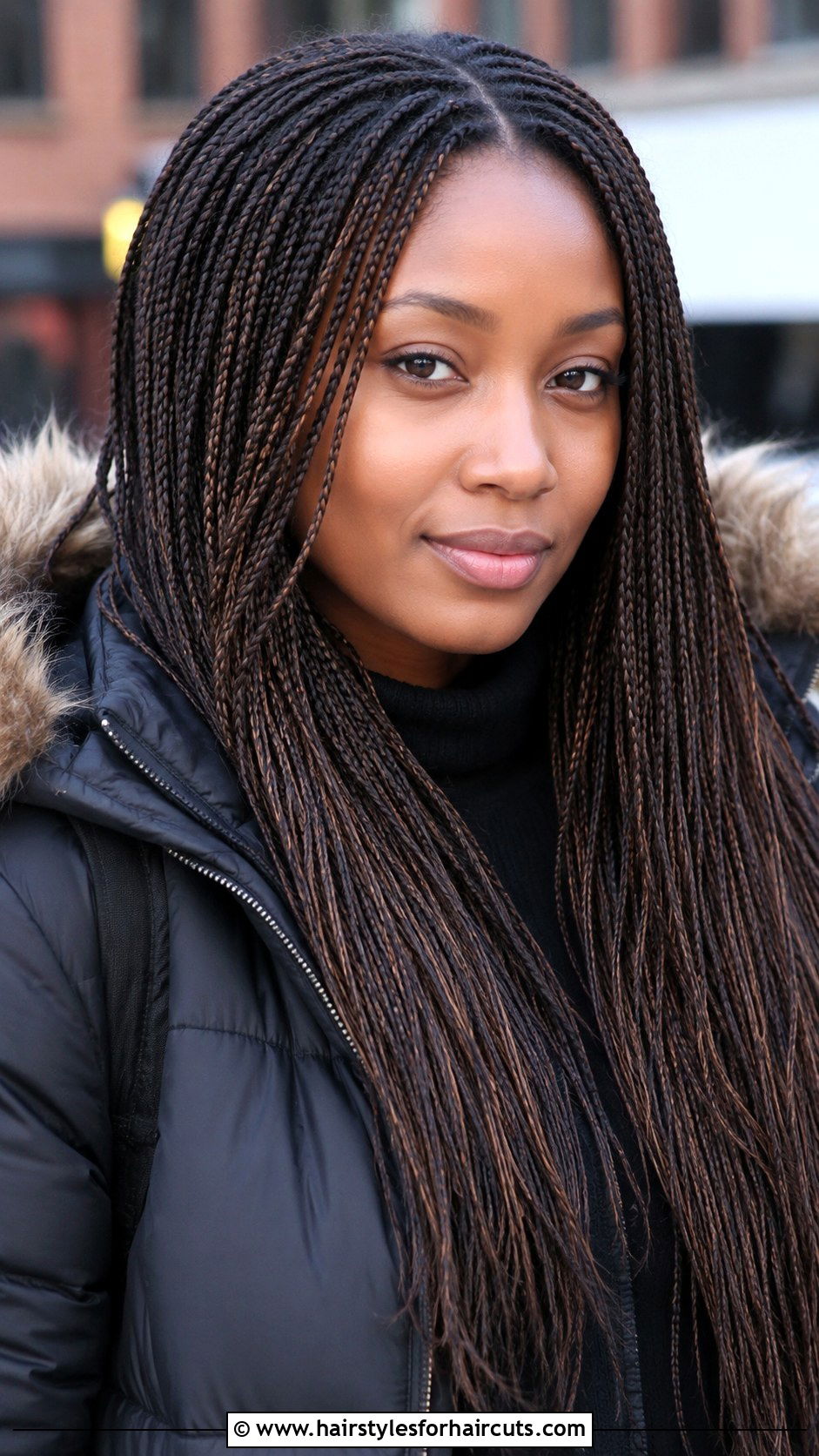 Micro Braids - 25 ebony hairstyles - 25 ebony hairstyles
