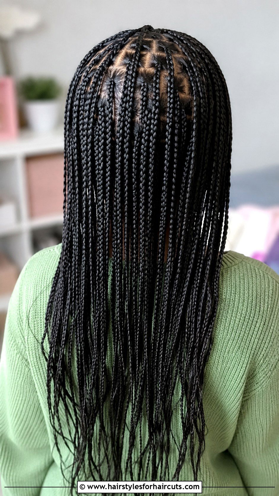 Micro Braids - 25 girls braided hairstyles - 25 girls braided hairstyles