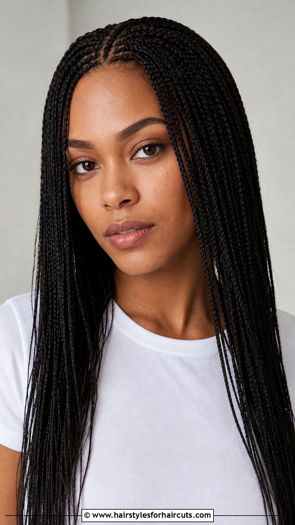 Micro Braids - 25 hairstyles braids - 25 hairstyles braids