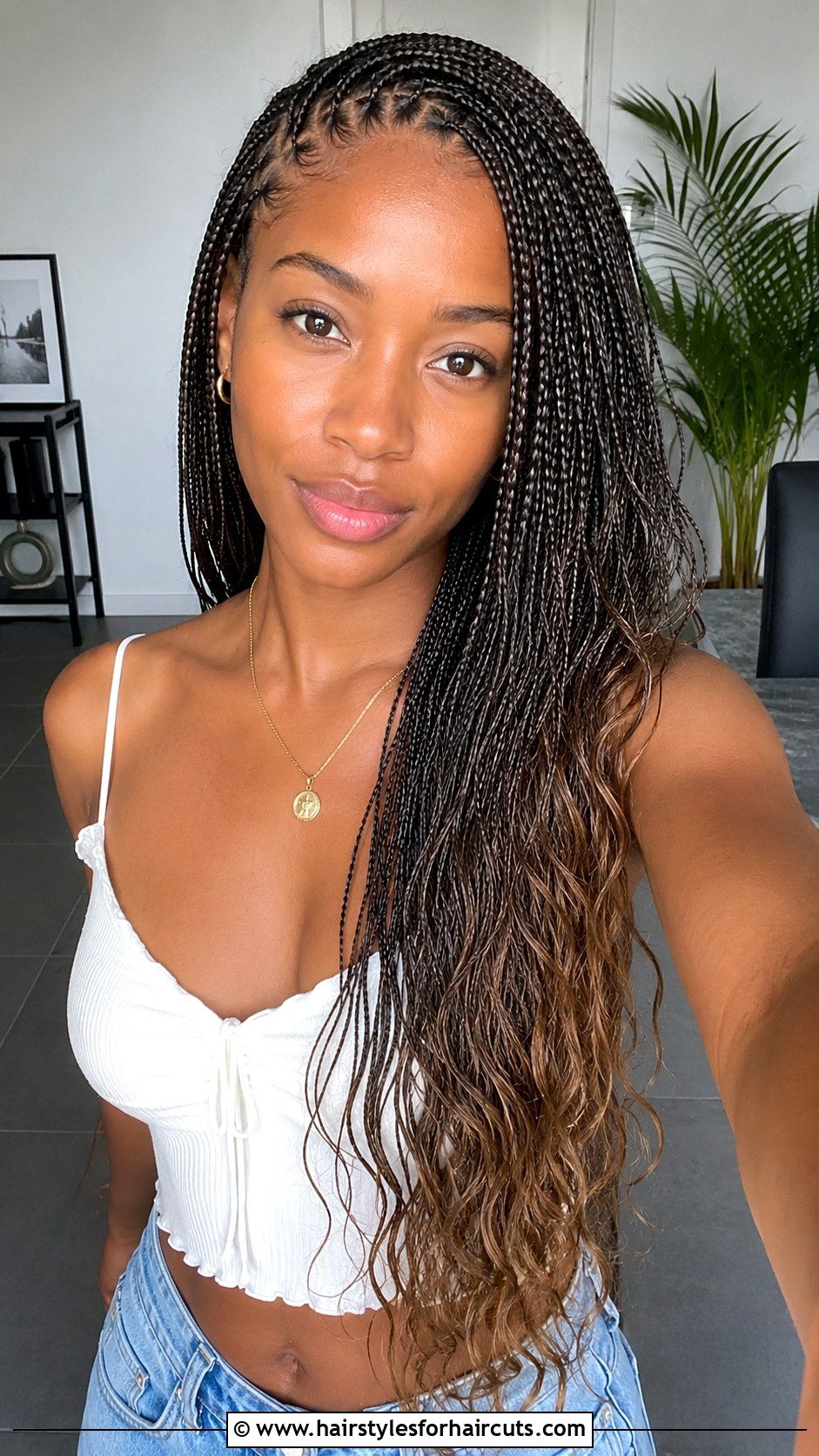 Micro Braids - 25 african hair braiding hairstyles - 25 african hair braiding hairstyles
