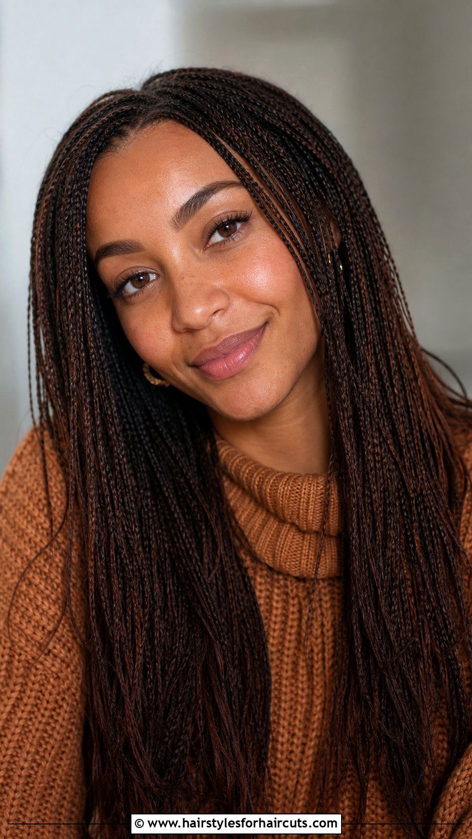 Micro Braids - 25 human hair braids hairstyles - 25 human hair braids hairstyles