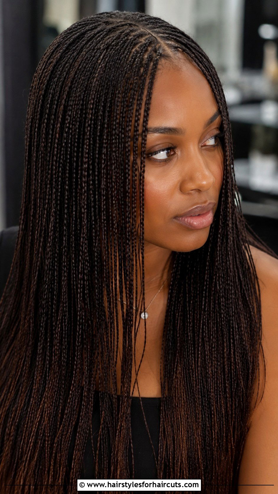 Micro Braids - 25 new black hairstyles - 25 new black hairstyles