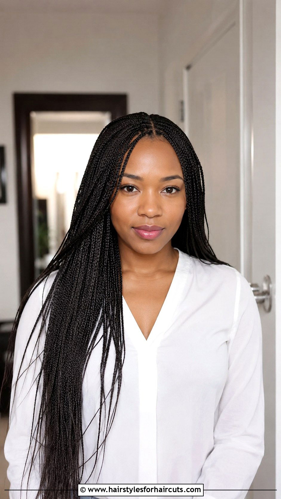 Micro Braids African Hair Hairstyle - 25 african hair hairstyles - 25 african hair hairstyles