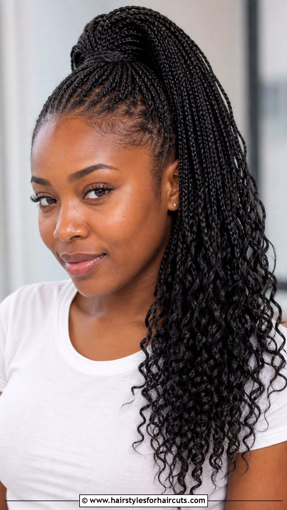 Micro Braids High Ponytail - 25 high ponytail hairstyles for black hair - 25 high ponytail hairstyles for black hair