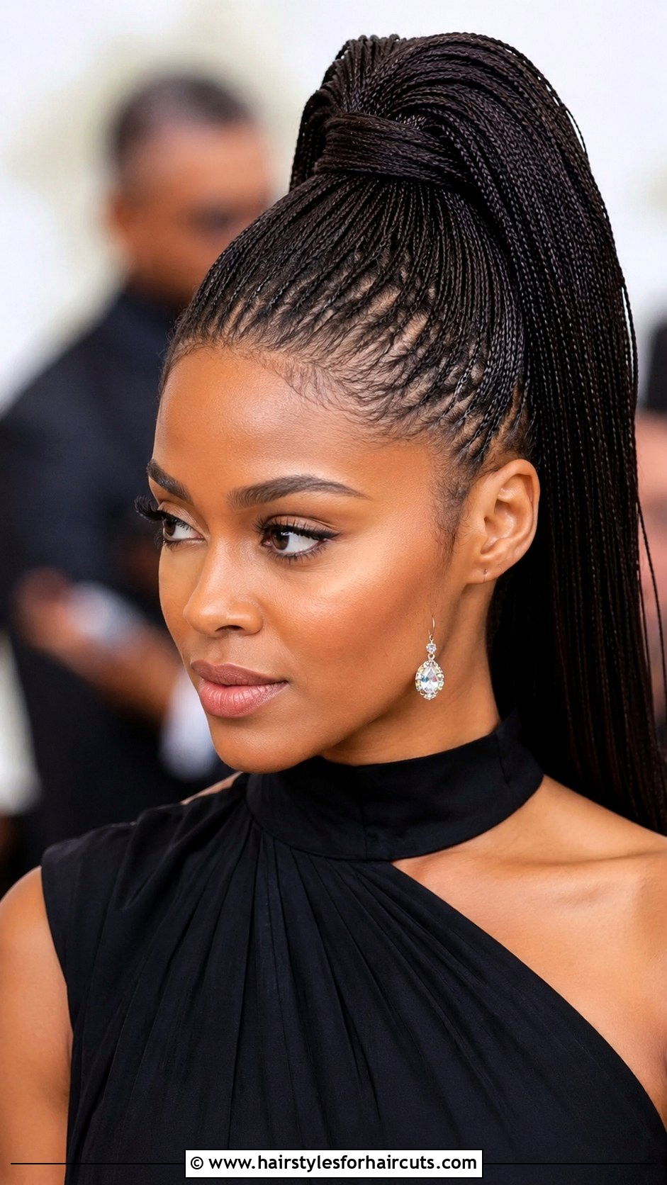 Micro Braids High Ponytail - 25 birthday hairstyles for black hair - 25 birthday hairstyles for black hair