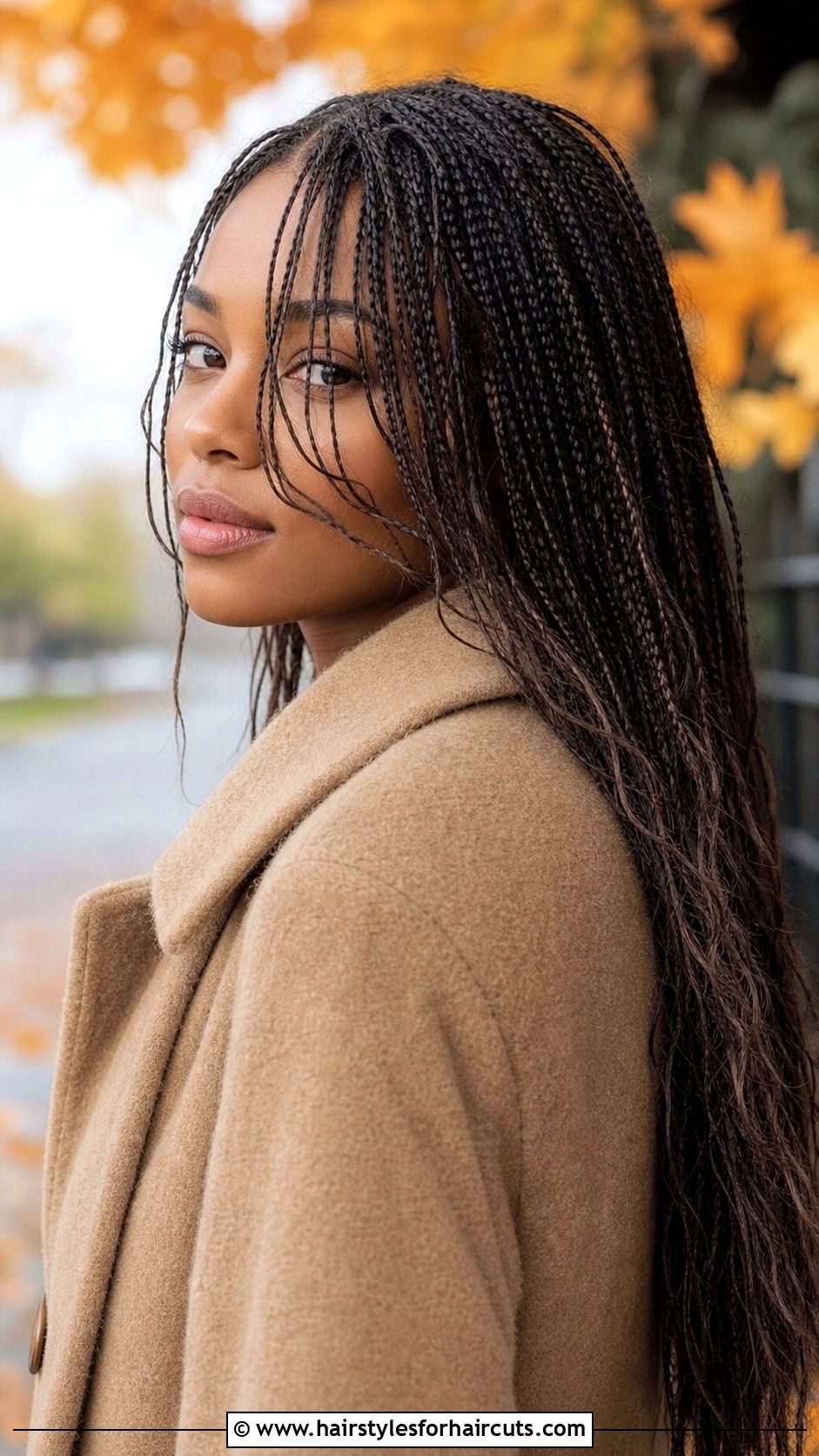 Micro Braids Layered Look - 25 human hair micro braids hairstyles - 25 human hair micro braids hairstyles