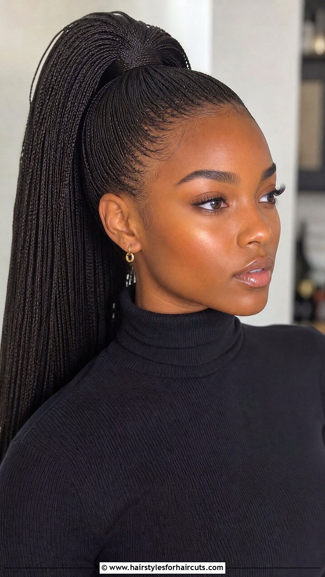 Micro Braids Ponytail - 25 ponytail braids hairstyles for black hair - 25 ponytail braids hairstyles for black hair