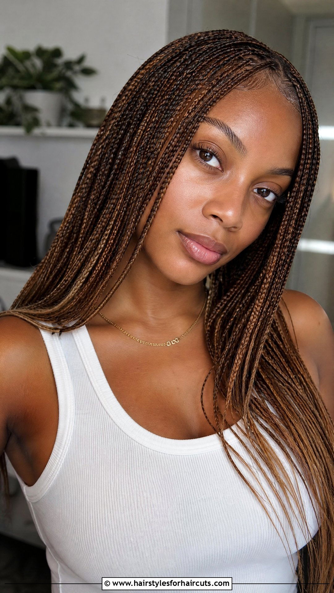 Micro Braids Wig - 25 wig hairstyles - 25 wig hairstyles