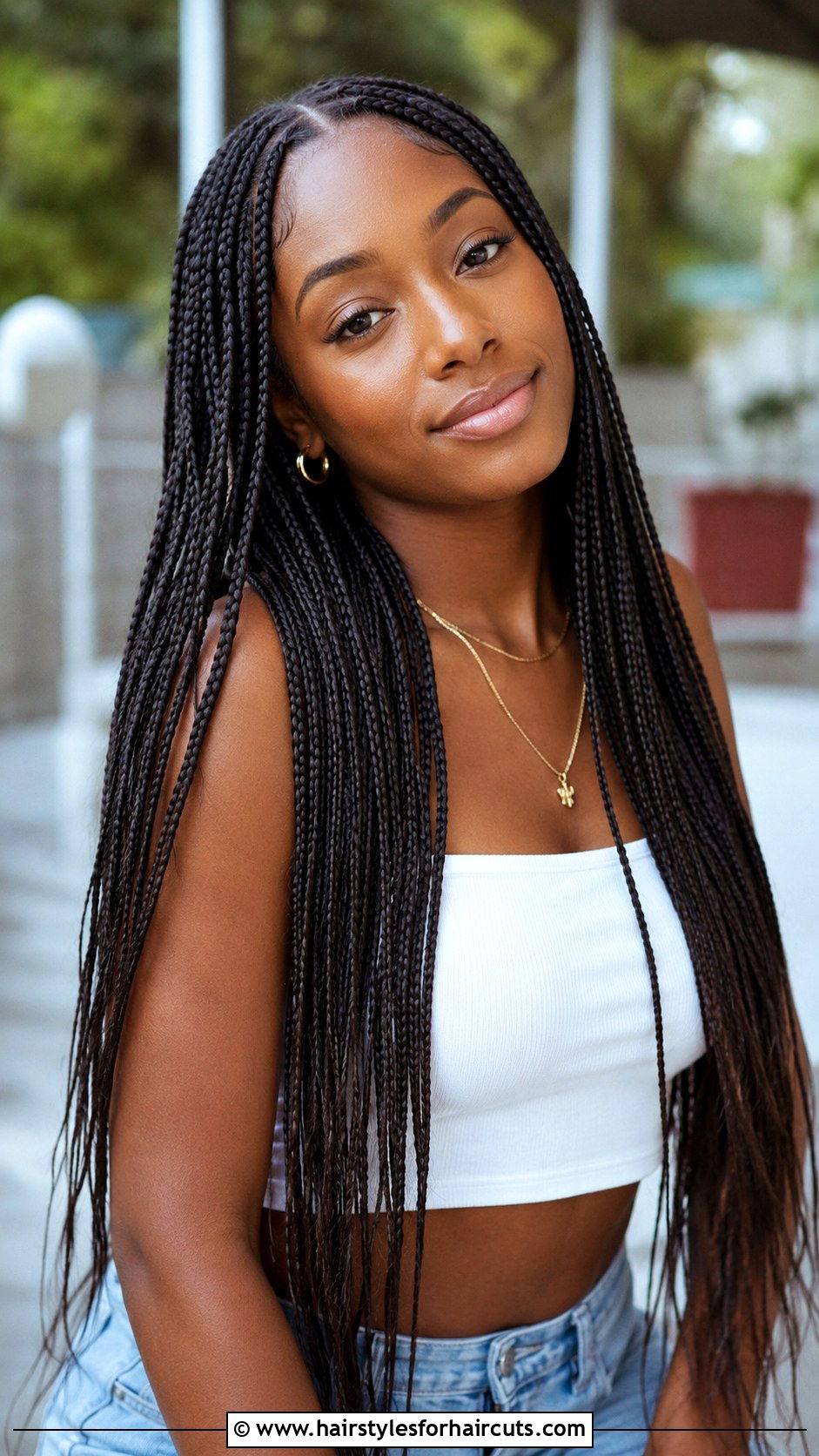 Micro Braids With Hair Extensions - 25 cute hairstyles with hair extensions - 25 cute hairstyles with hair extensions