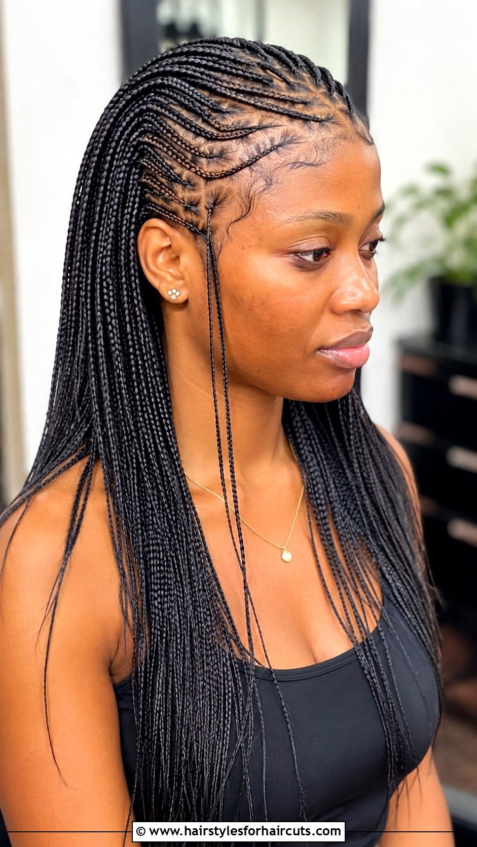 Micro Fulani Braids - 25 fulani hairstyles - 25 fulani hairstyles