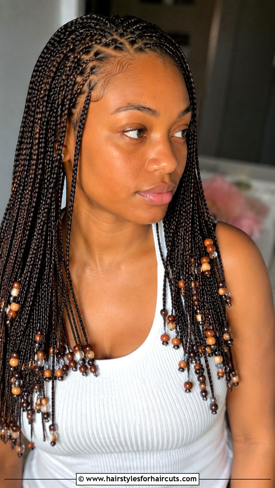 Native American Micro Braids - 25 native american hairstyles - 25 native american hairstyles
