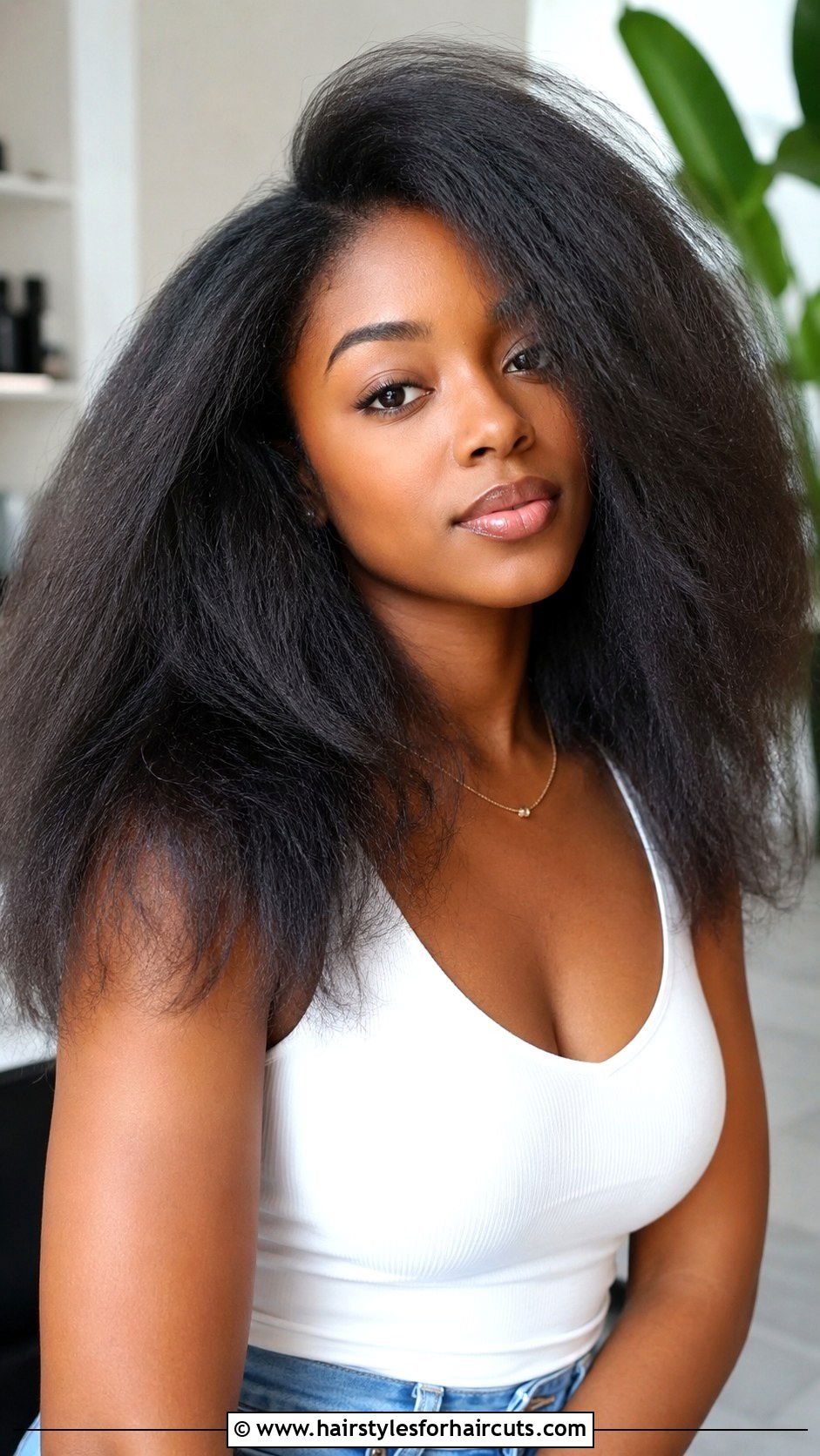 Natural Blowout - 25 black hairstyles - 25 black hairstyles