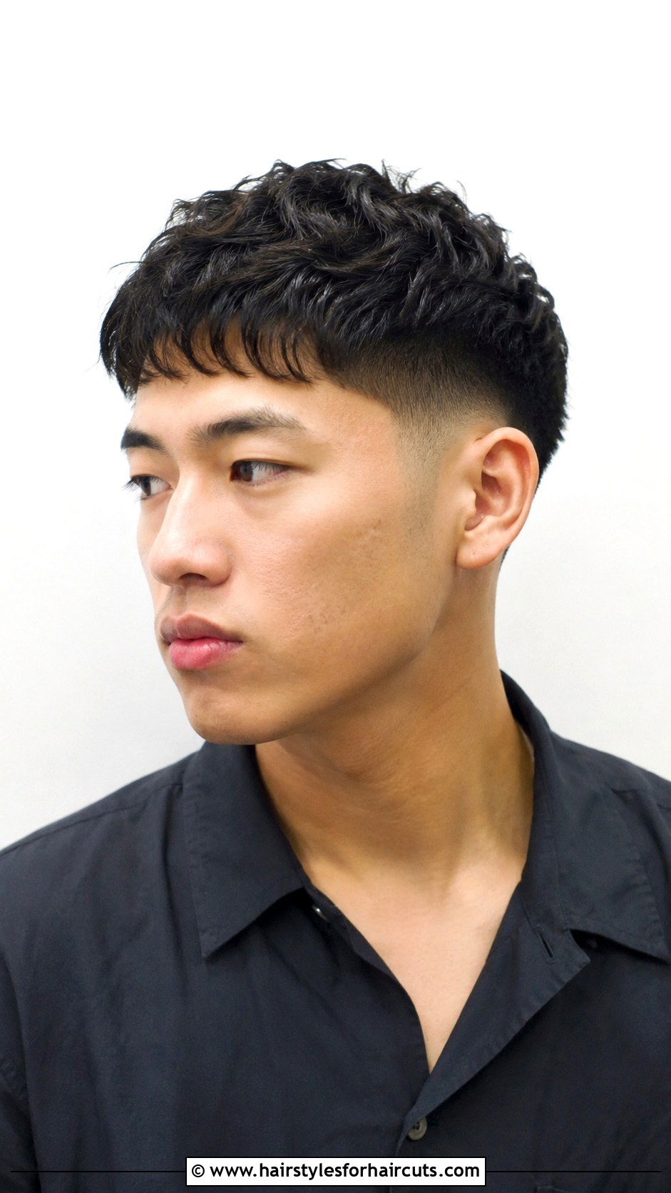 Natural Curl Two Block Crop - 25 2 block haircuts curly hair - 25 2 block haircuts curly hair