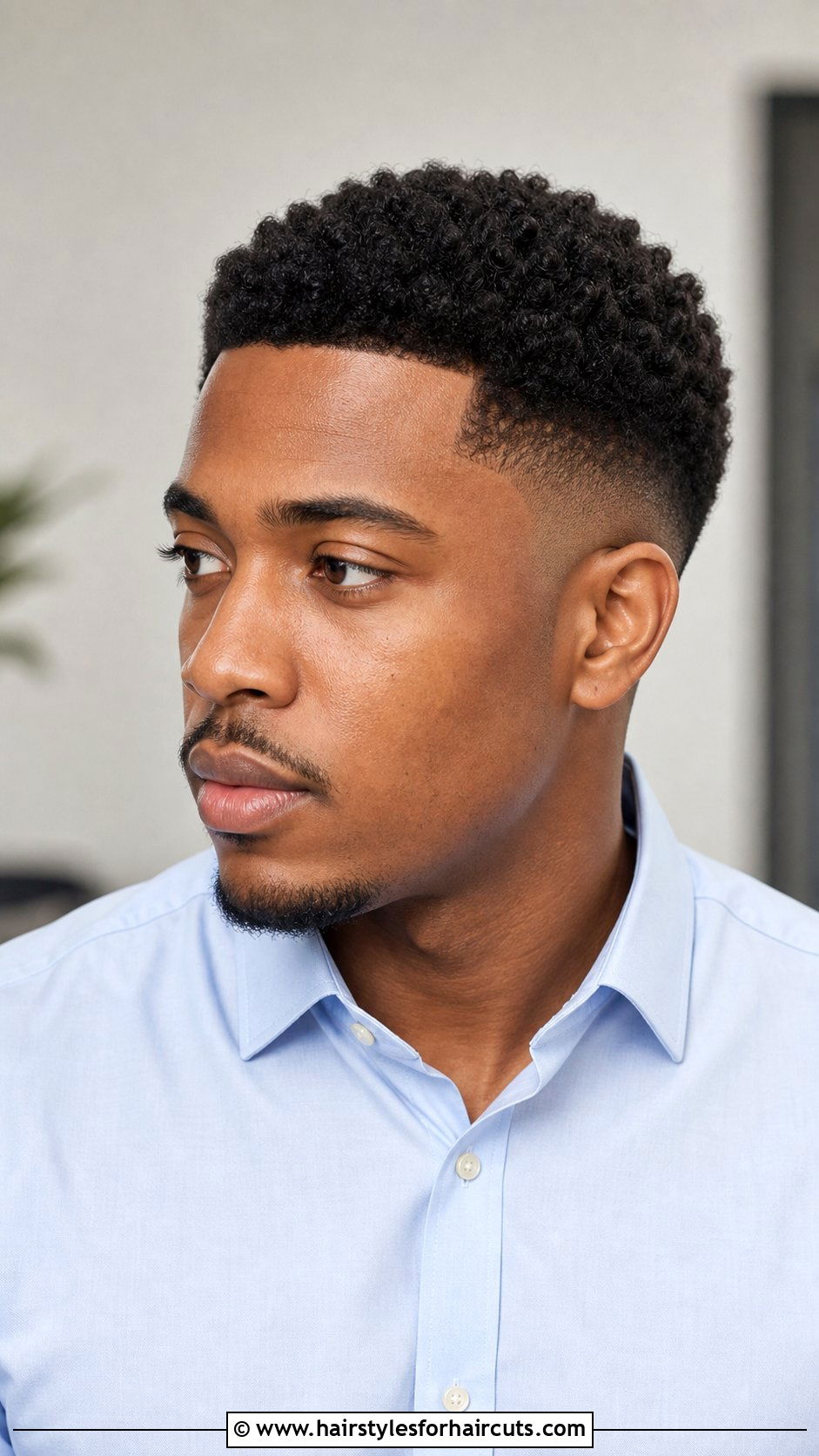 Natural Taper Cut - 25 haircuts for textured hair - 25 haircuts for textured hair
