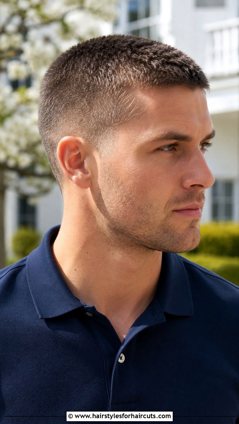Number 4 Crew Cut - 25 haircuts 4 on top - 25 haircuts 4 on top