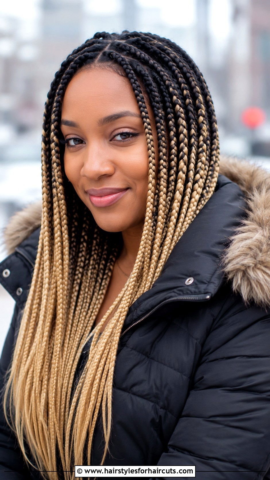 Ombre Box Braids - 25 box braid hairstyles - 25 box braid hairstyles