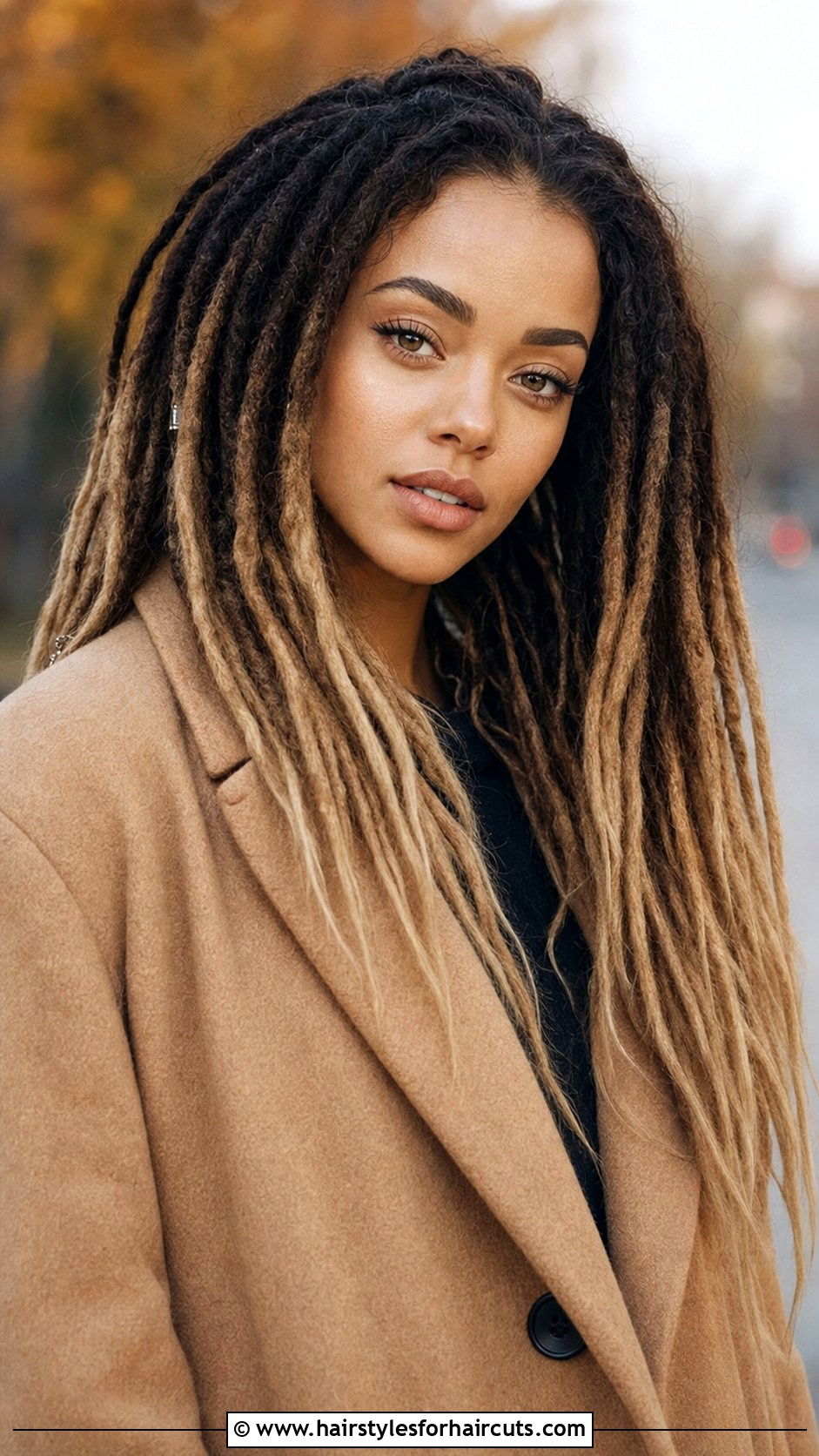 Ombre Colored Dreads - 25 hairstyles for dreads for ladies - 25 hairstyles for dreads for ladies