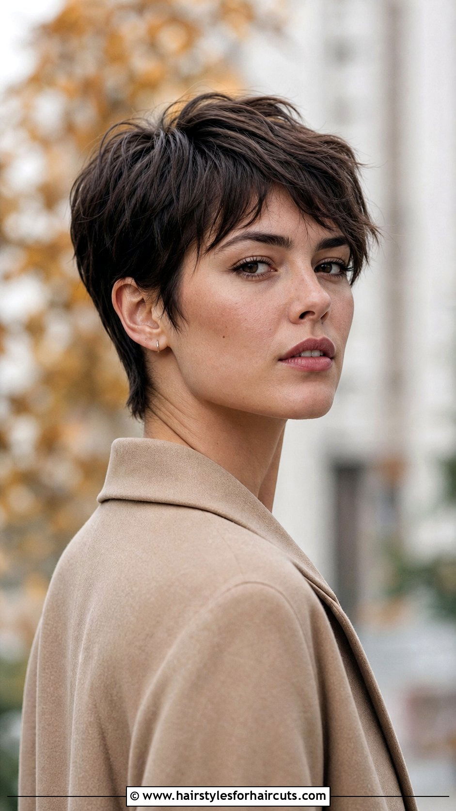 Pixie Cut - 25 hairstyles for pictures - 25 hairstyles for pictures