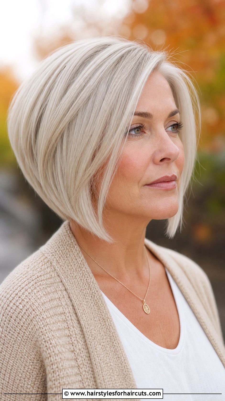Platinum Graduated Bob - 25 platinum short hairstyles - 25 platinum short hairstyles