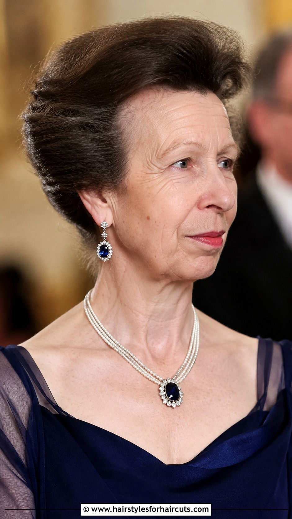 Princess Anne Bouffant Updo - 25 princess anne hairstyles - 25 princess anne hairstyles