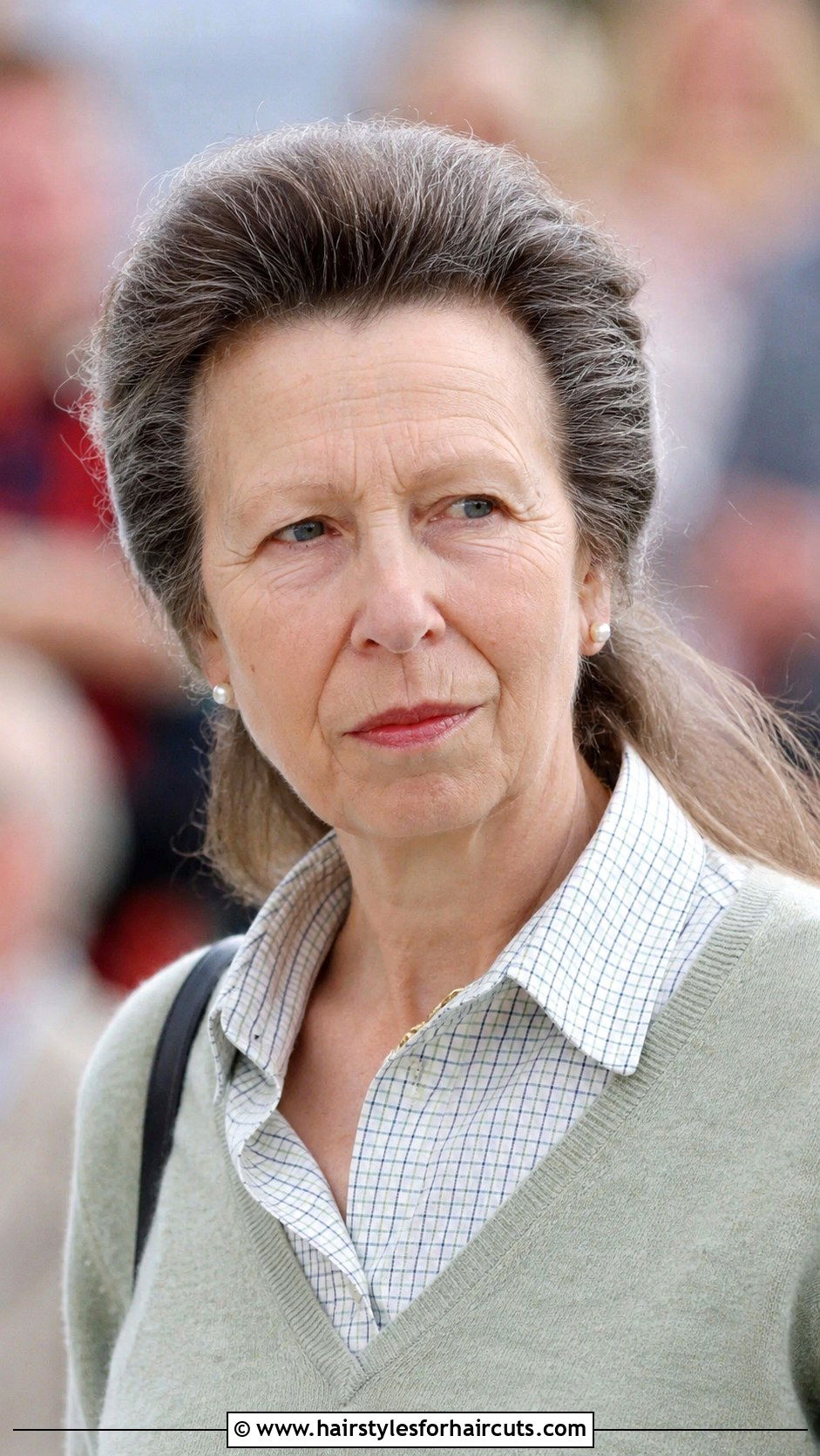 Princess Anne Half Up Half Down Hair - 25 princess anne hairstyles - 25 princess anne hairstyles