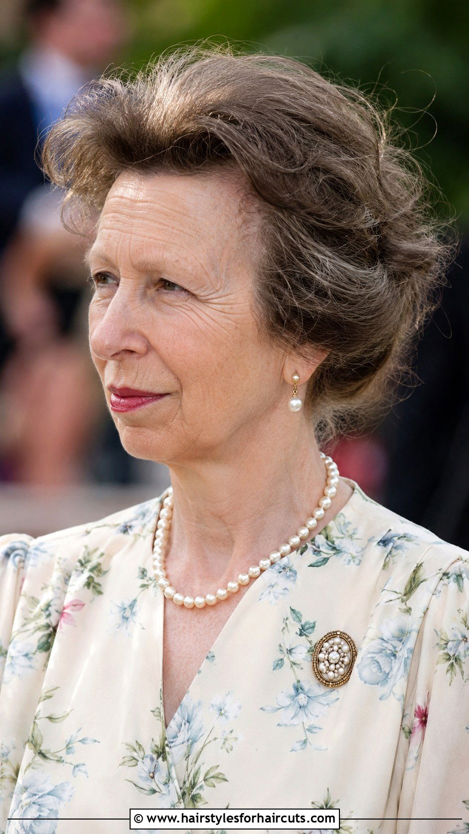 Princess Anne Loose Updo - 25 princess anne hairstyles - 25 princess anne hairstyles
