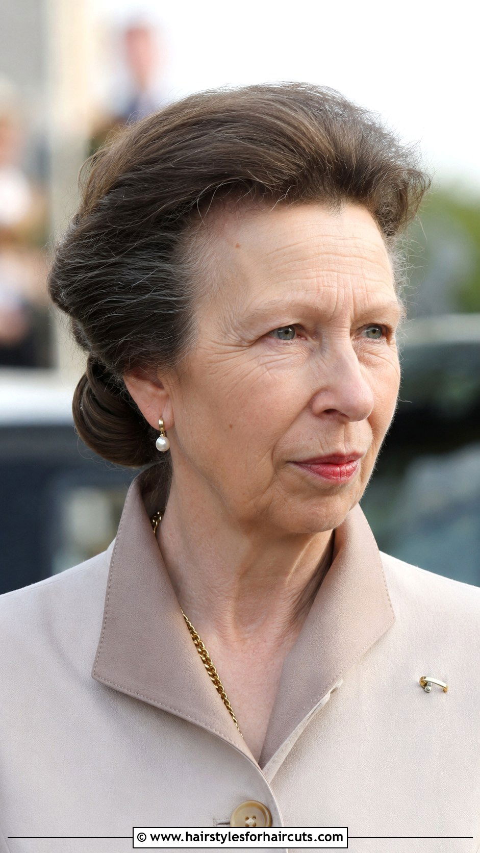 Princess Anne Low Chignon - 25 princess anne hairstyles - 25 princess anne hairstyles