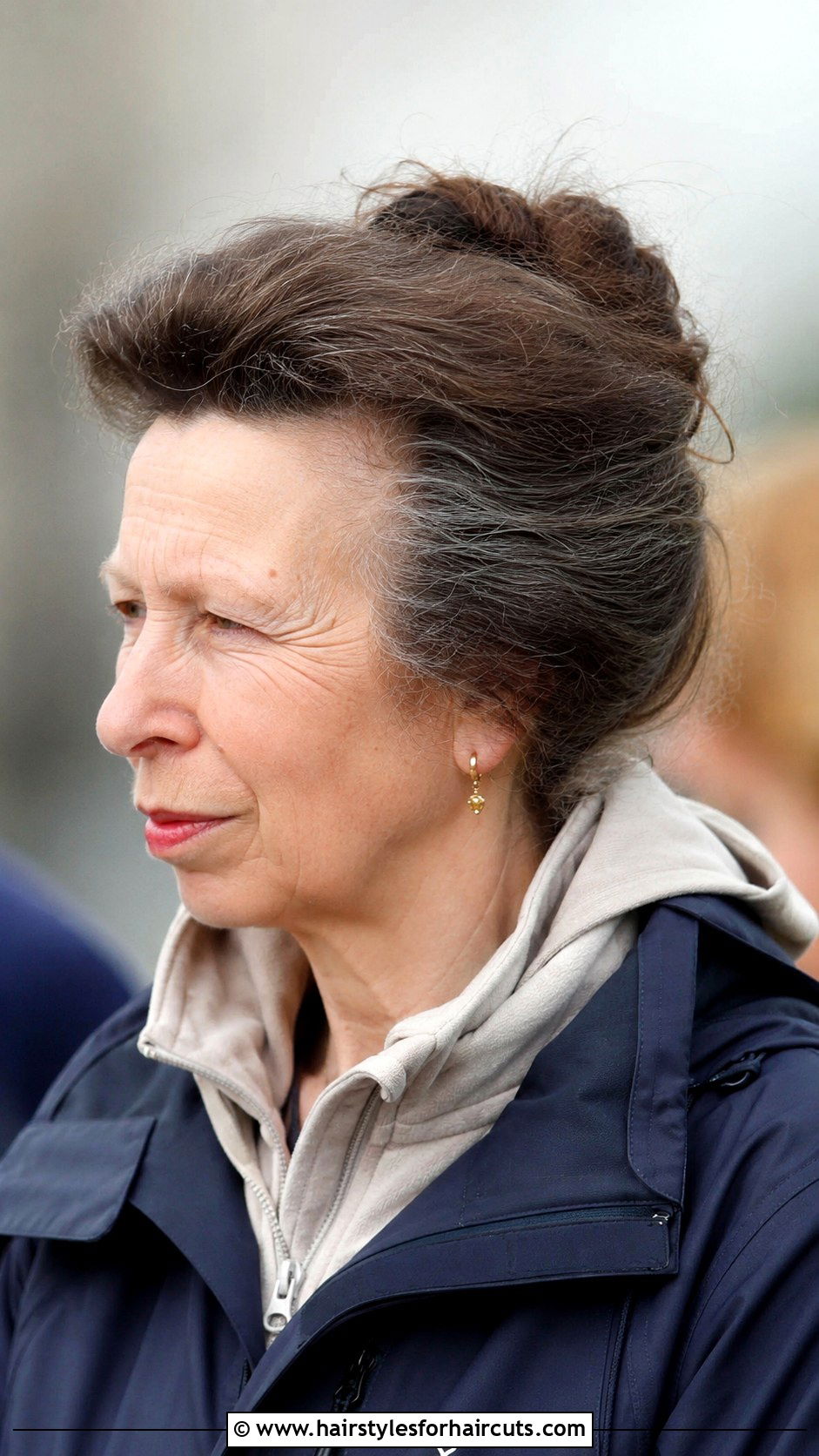 Princess Anne Messy Bun - 25 princess anne hairstyles - 25 princess anne hairstyles
