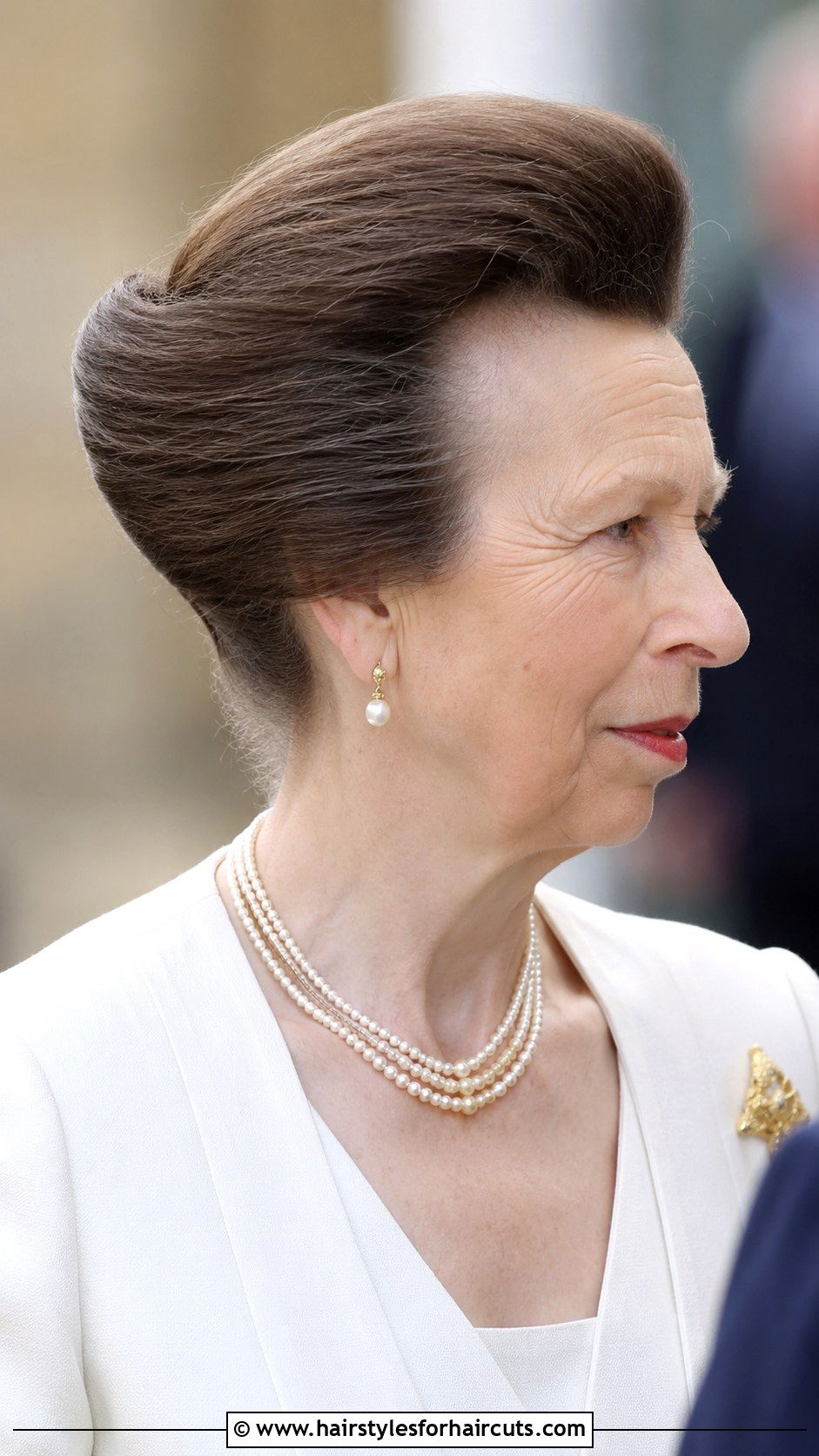 Princess Anne Rolled Updo - 25 princess anne hairstyles - 25 princess anne hairstyles