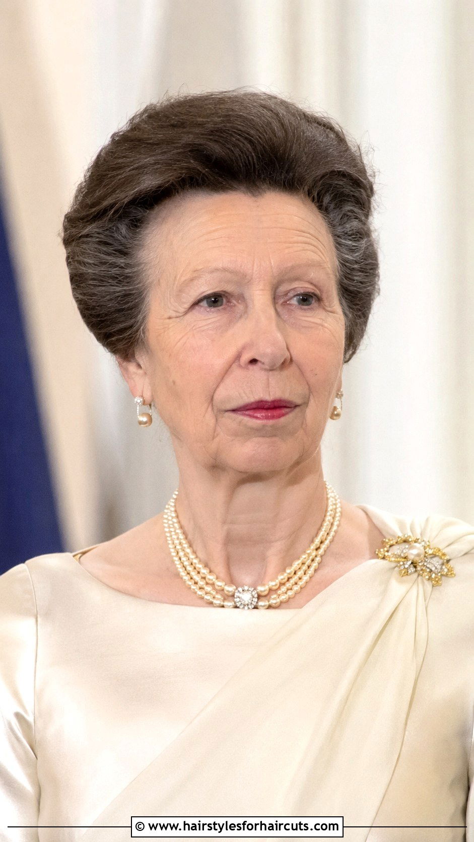 Princess Anne Side Swept Updo - 25 princess anne hairstyles - 25 princess anne hairstyles