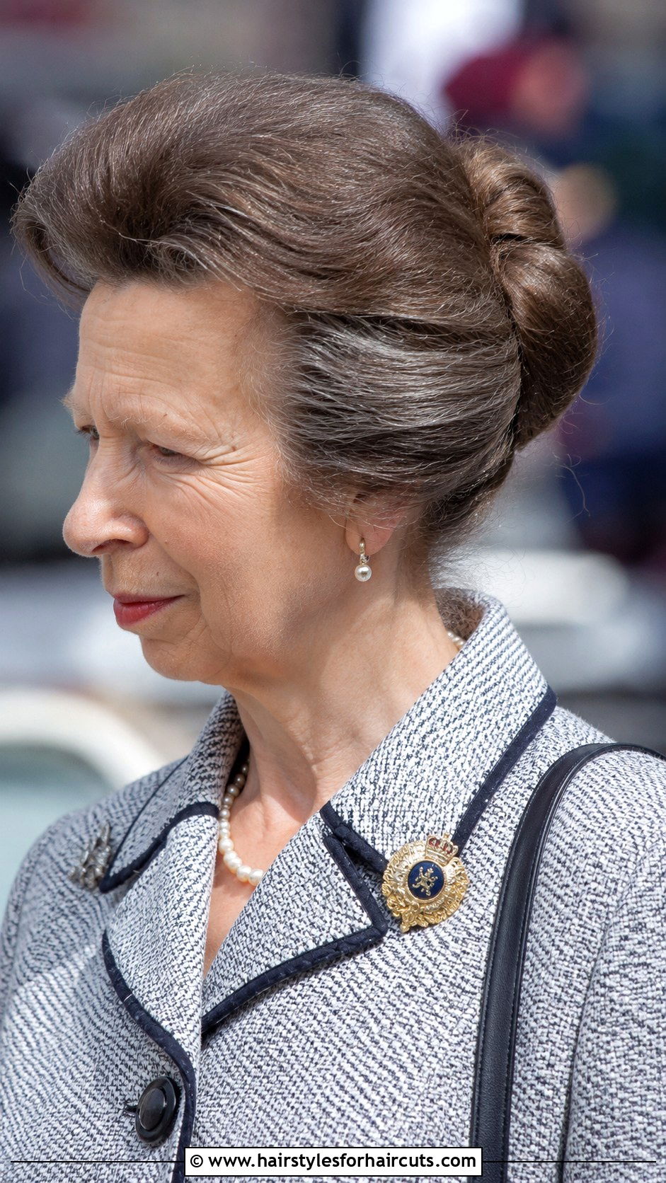 Princess Anne Twisted Updo - 25 princess anne hairstyles - 25 princess anne hairstyles