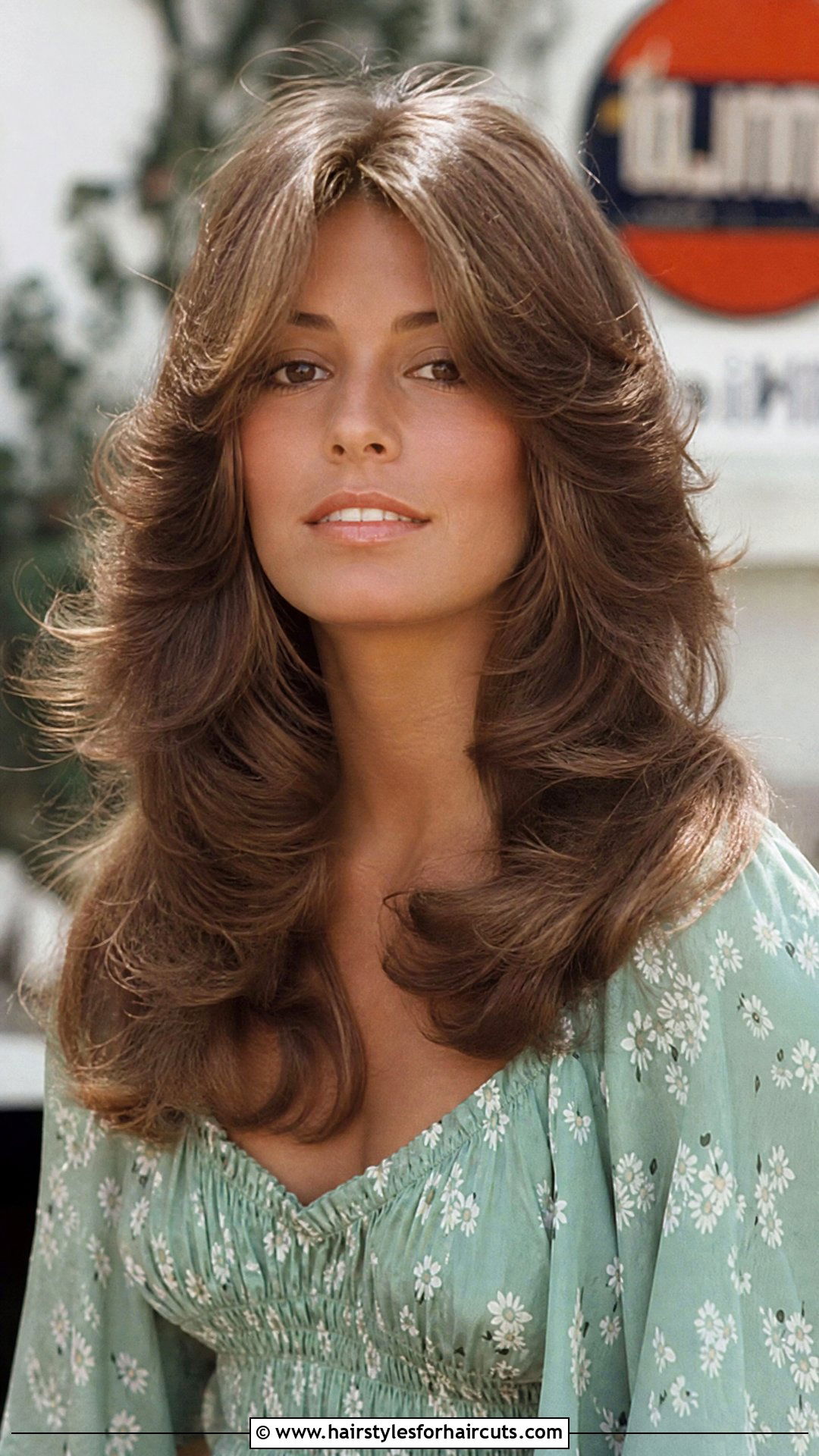 Retro Feather Cut For Long Hair - 25 feather cut hairstyles for long hair - 25 feather cut hairstyles for long hair