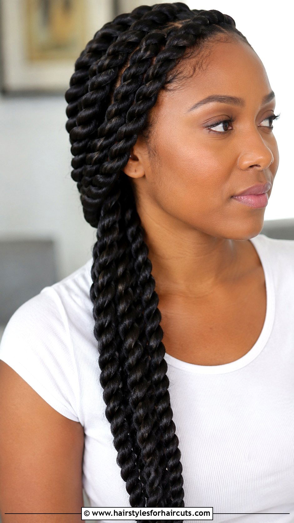 Rope Twist Braid - 25 braid hairstyles shoulder length hair - 25 braid hairstyles shoulder length hair